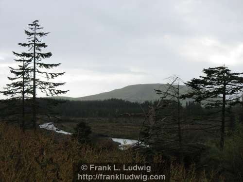 Ladies Brae, Ladies Bray, Ox Mountains